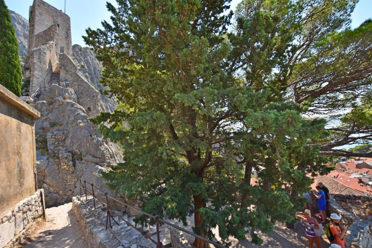 Apartment Mate Omiš Εξωτερικό φωτογραφία